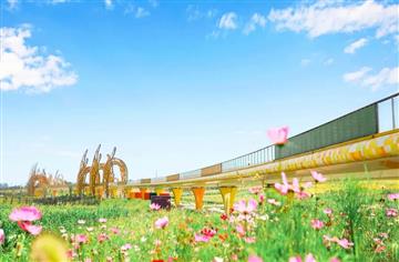 橋梁心動季|國慶去哪兒？來環城生態公園度過悠長假期